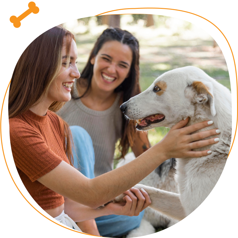 Dogs enjoying supervised care at Happy Buddies Dubai
