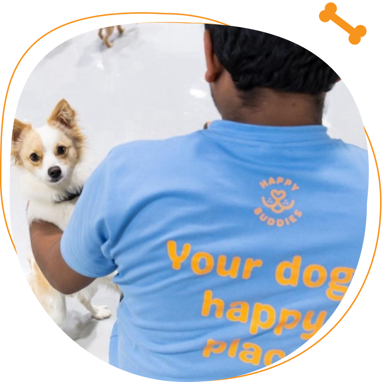Pet taxi at Happy Buddies Dubai