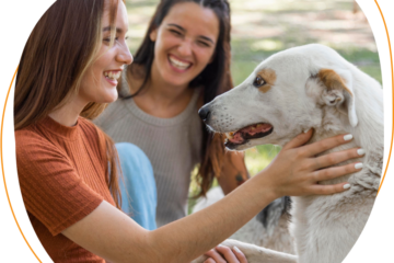 Happy Buddies dog daycare in Dubai
